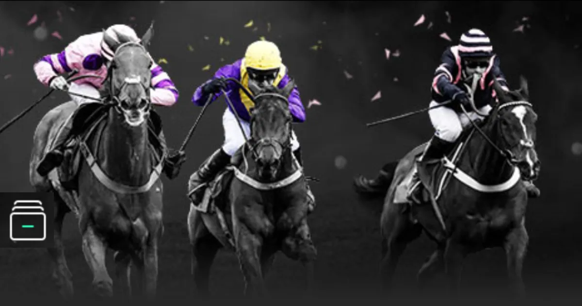 金载烈主席,指出,中国在国际,188bet金宝博,188bet金宝博体育,188BET,188bet金宝博体育官网